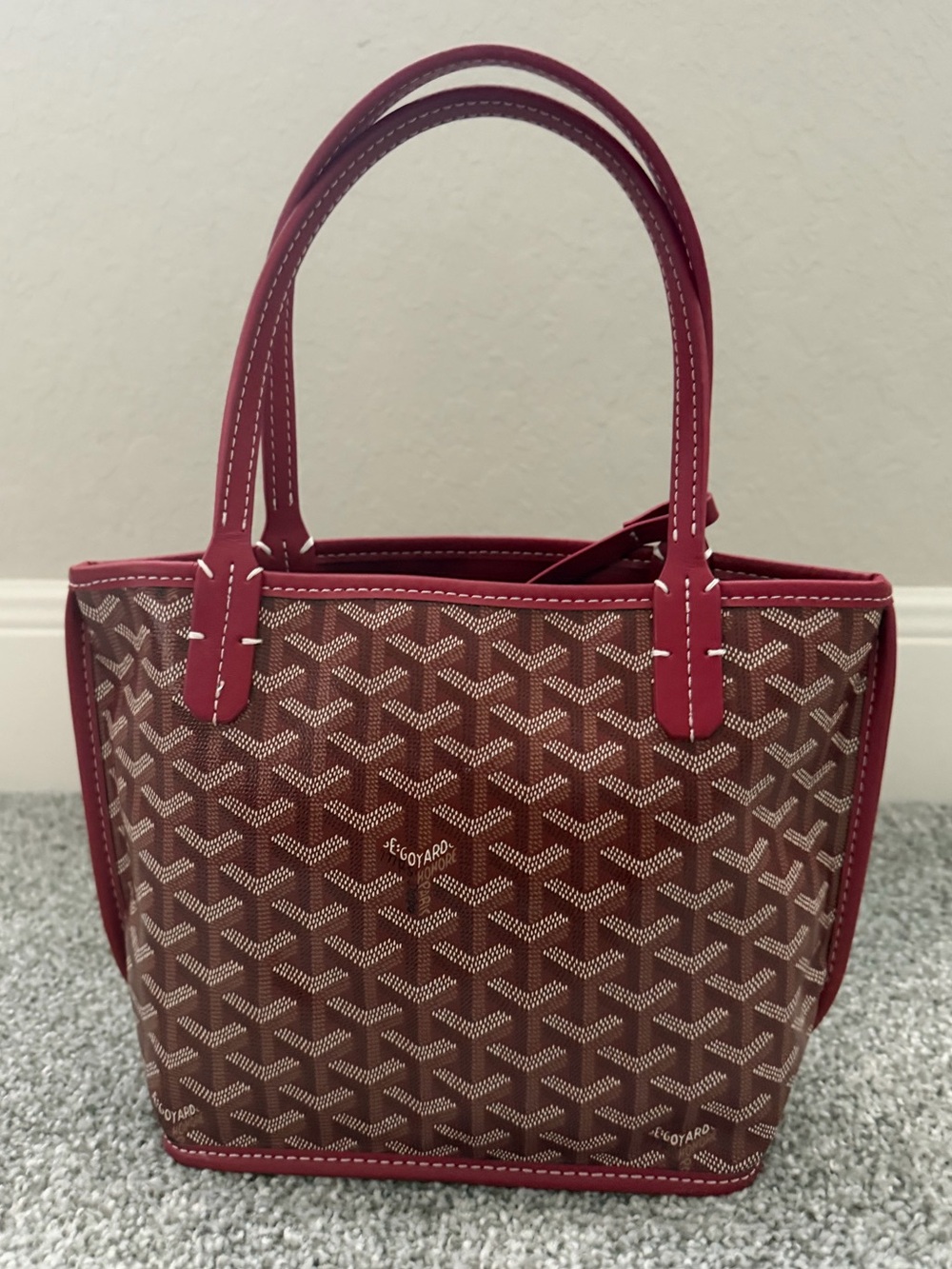 Goyard Anjou Mini